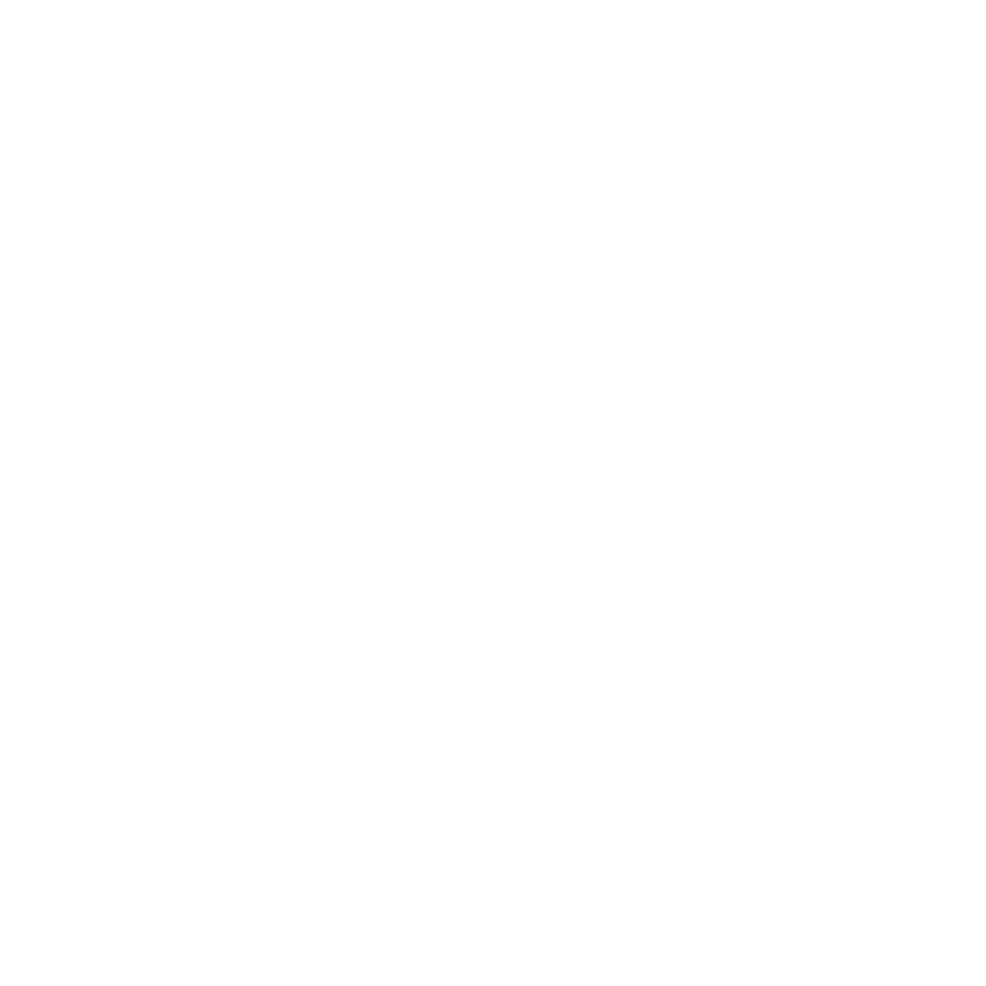ei-electronics logo