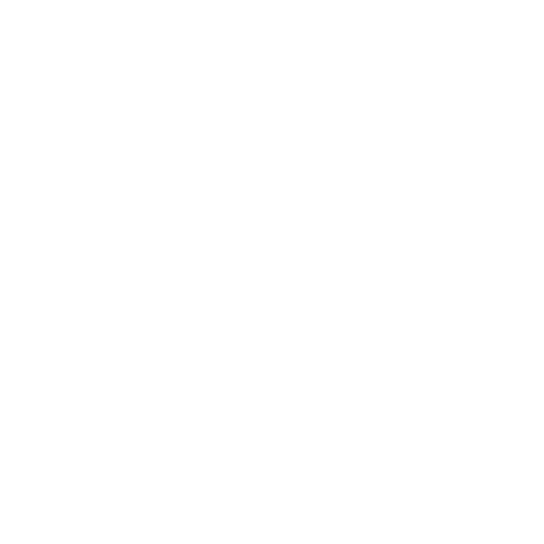 nant logo