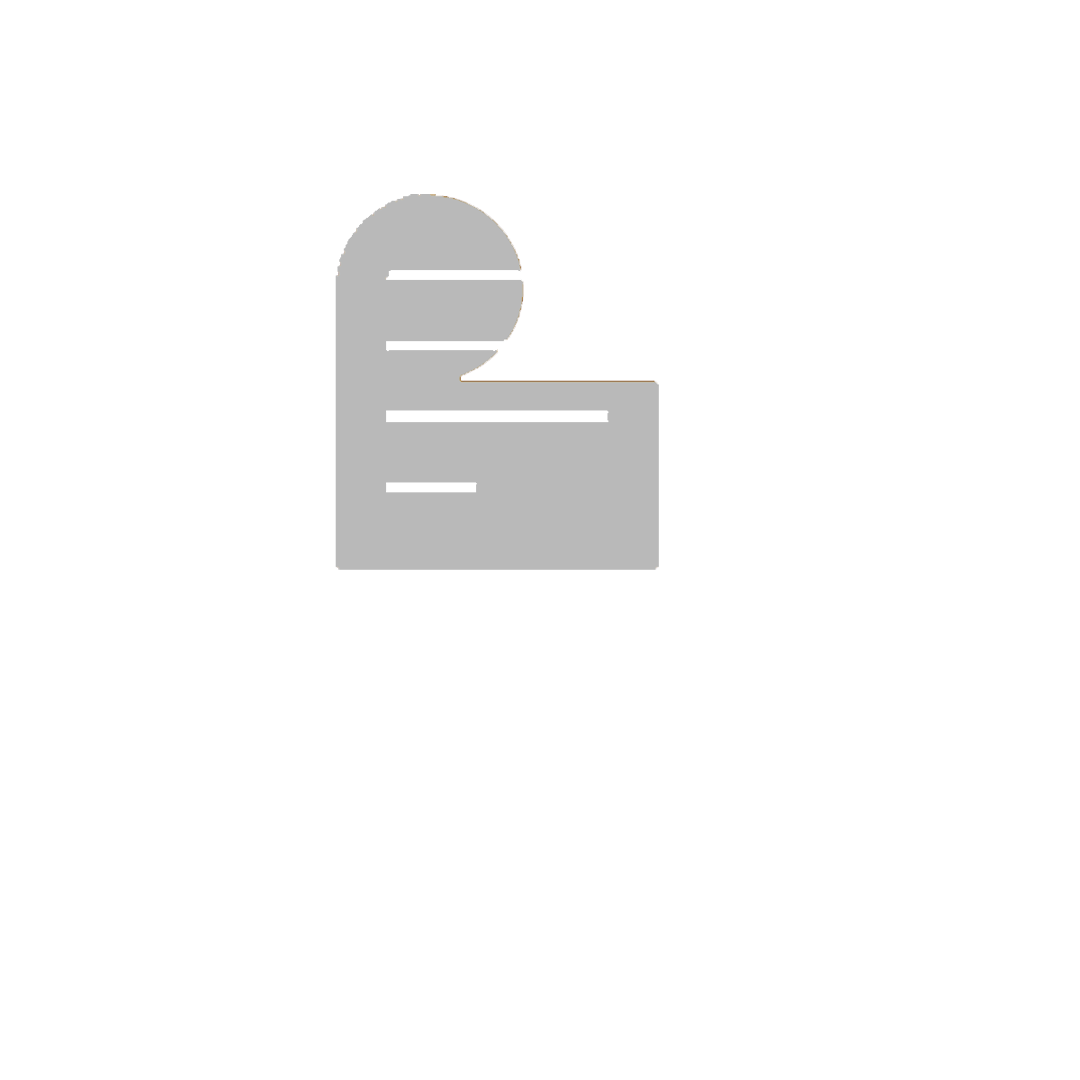 payslip logo