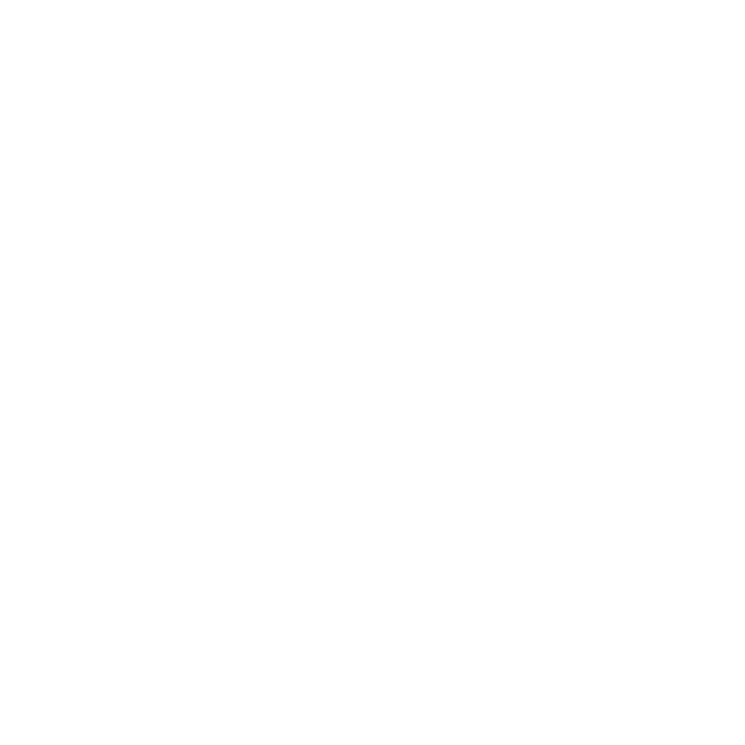 provizio logo