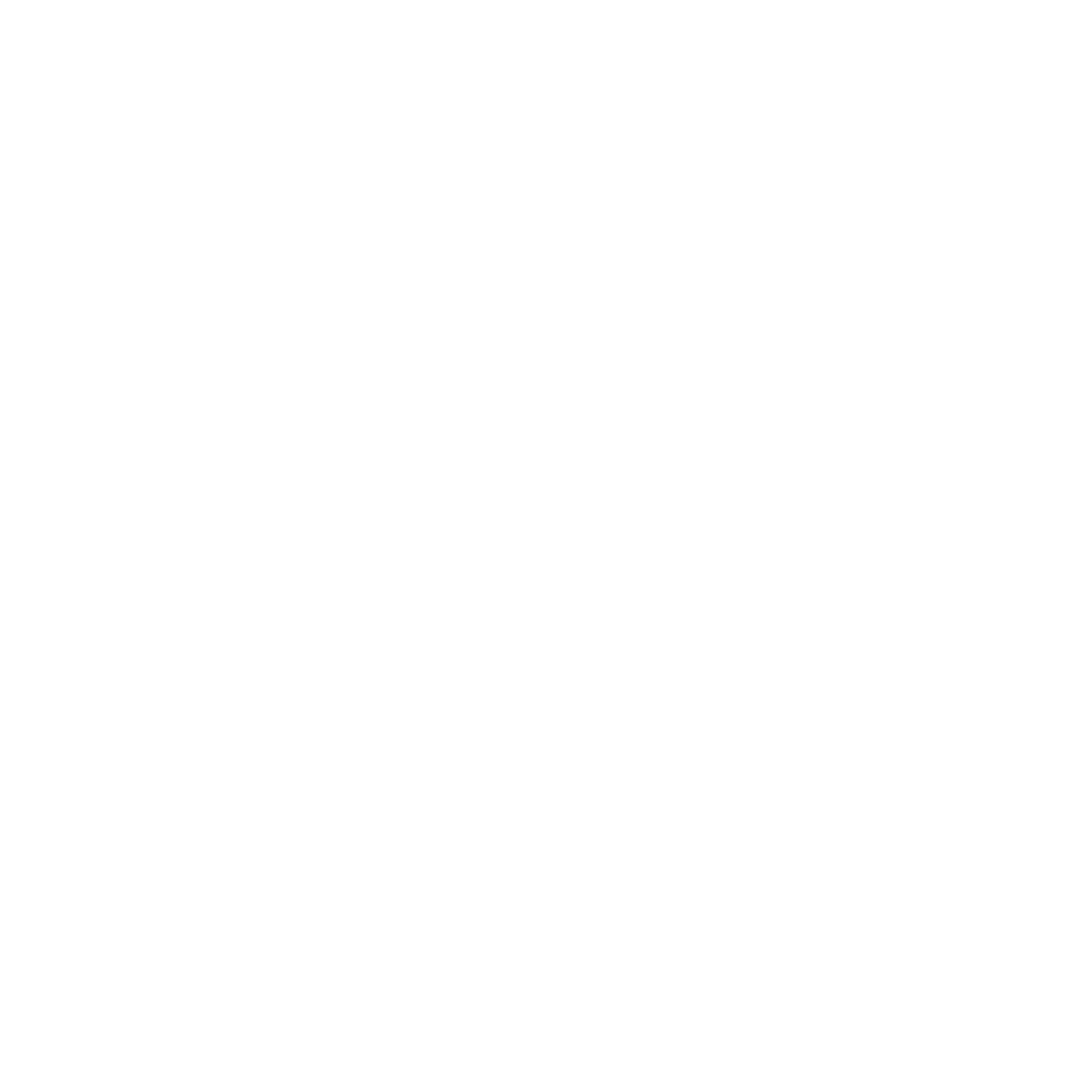 shannonside logo